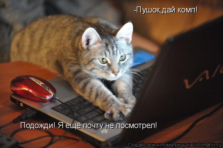 Котоматрица: -Пушок,дай комп! Подожди! Я ещё почту не посмотрел!