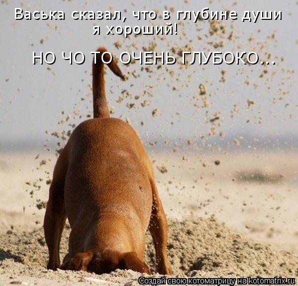 НО ЧО ТО ОЧЕНЬ ГЛУБОКО... Васька сказал, что в глубине души я хороший!... Котоматрица: НО ЧО ТО ОЧЕНЬ ГЛУБОКО... Васька сказал, что в глубине души я хороший!