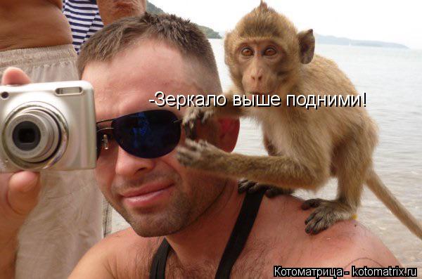 -Зеркало выше подними!... Котоматрица: -Зеркало выше подними!