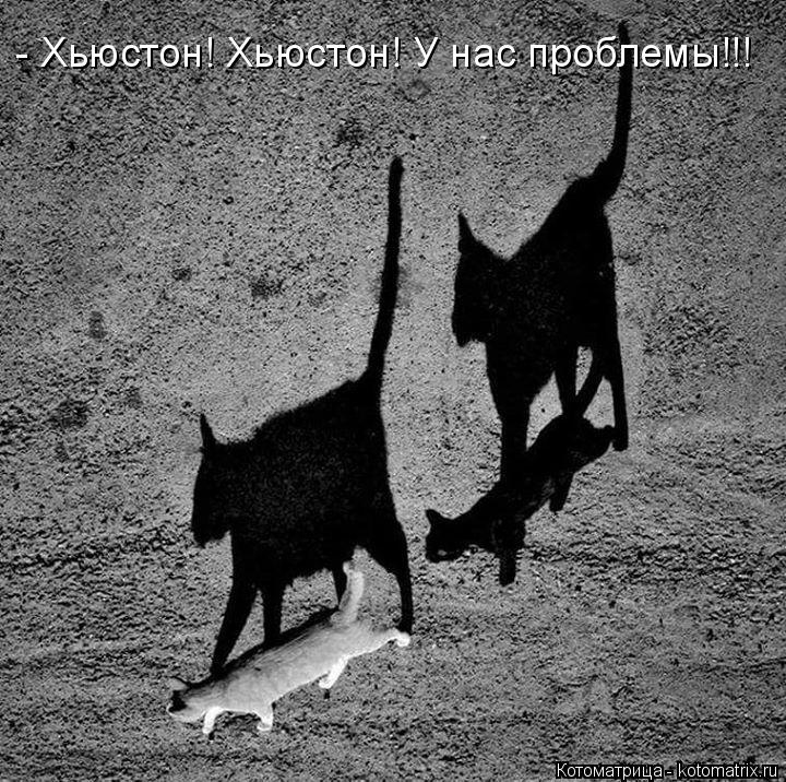 - Хьюстон! Хьюстон! У нас проблемы!!!... Котоматрица: - Хьюстон! Хьюстон! У нас проблемы!!!