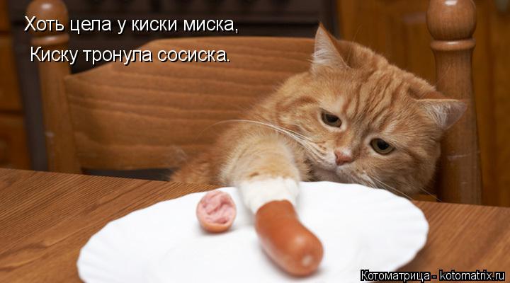 Хоть цела у киски миска, Киску тронула сосиска.... Котоматрица: Хоть цела у киски миска, Киску тронула сосиска.