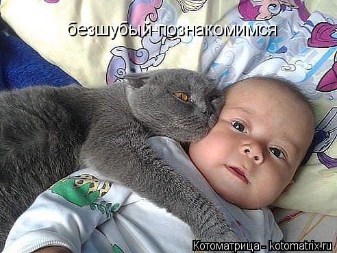 Котоматрица: безшубый познакомимся