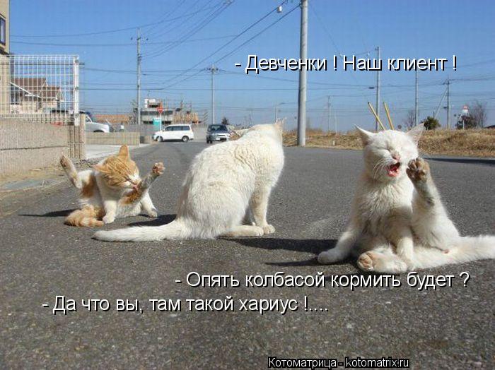 - Девченки ! Наш клиент ! - Опять колбасой кормить будет ? - Да что вы, там такой хариус !....... Котоматрица: - Девченки ! Наш клиент ! - Опять колбасой кормить будет ? - Да что вы, там такой хариус !....