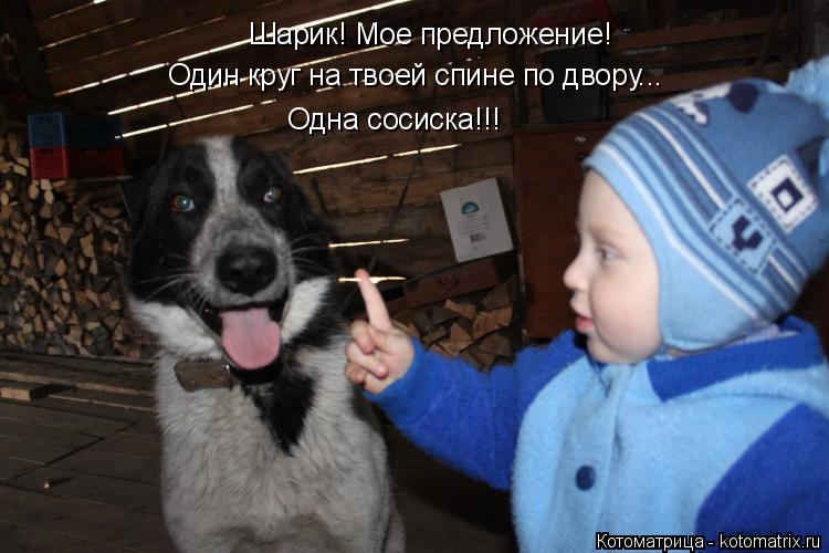 Котоматрица: Шарик! Мое предложение! Один круг на твоей спине по двору... Одна сосиска!!!