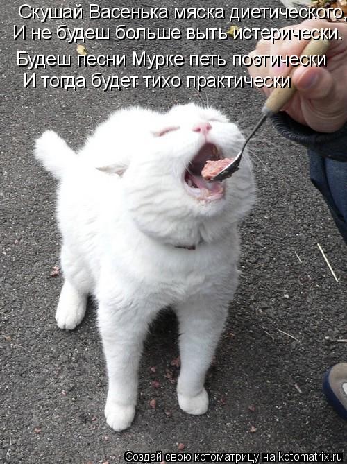 Скушай Васенька мяска диетического, И не будеш больше выть истерически. Будеш песни Мурке петь поэтич... Котоматрица: Скушай Васенька мяска диетического, И не будеш больше выть истерически. Будеш песни Мурке петь поэтически И тогда будет тихо практически