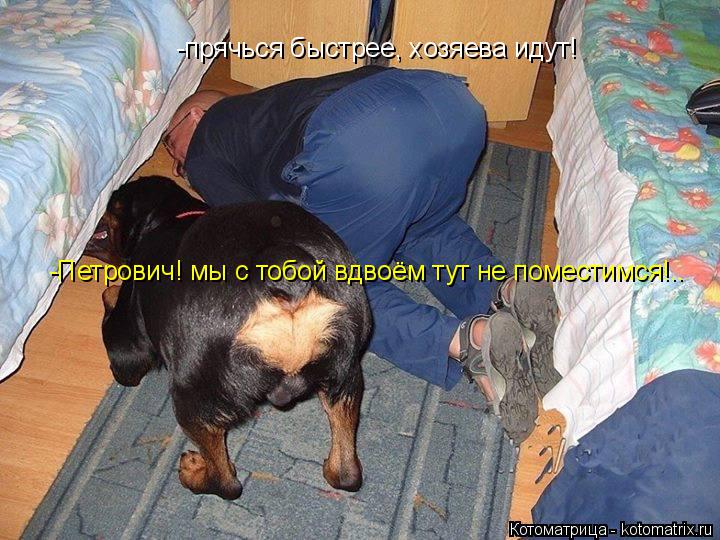 -прячься быстрее, хозяева идут! -Петрович! мы с тобой вдвоём тут не поместимся!..... Котоматрица: -прячься быстрее, хозяева идут! -Петрович! мы с тобой вдвоём тут не поместимся!..
