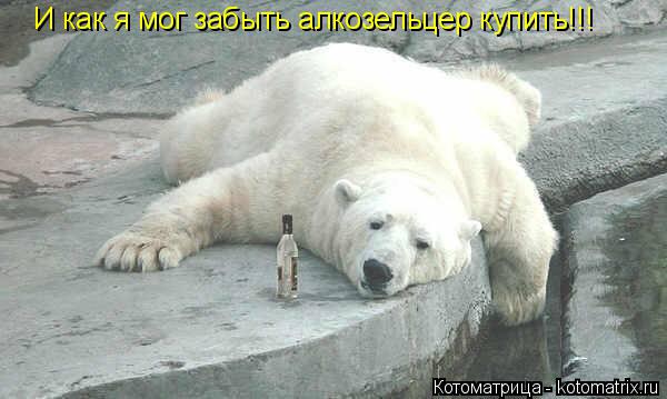 И как я мог забыть алкозельцер купить!!!... Котоматрица: И как я мог забыть алкозельцер купить!!!