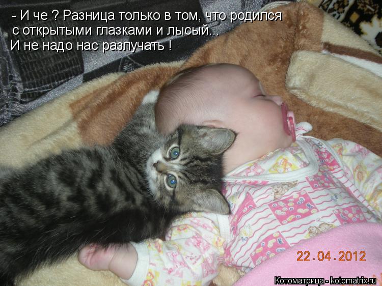 - И че ? Разница только в том, что родился с открытыми глазками и лысый... И не надо нас разлучать !... Котоматрица: - И че ? Разница только в том, что родился с открытыми глазками и лысый... И не надо нас разлучать !