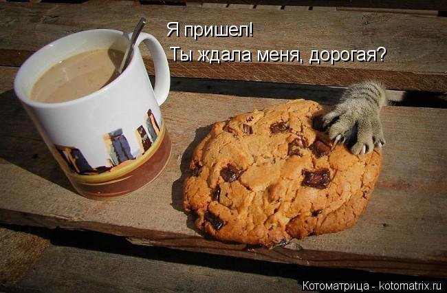 Я пришел! Ты ждала меня, дорогая?... Котоматрица: Я пришел! Ты ждала меня, дорогая?
