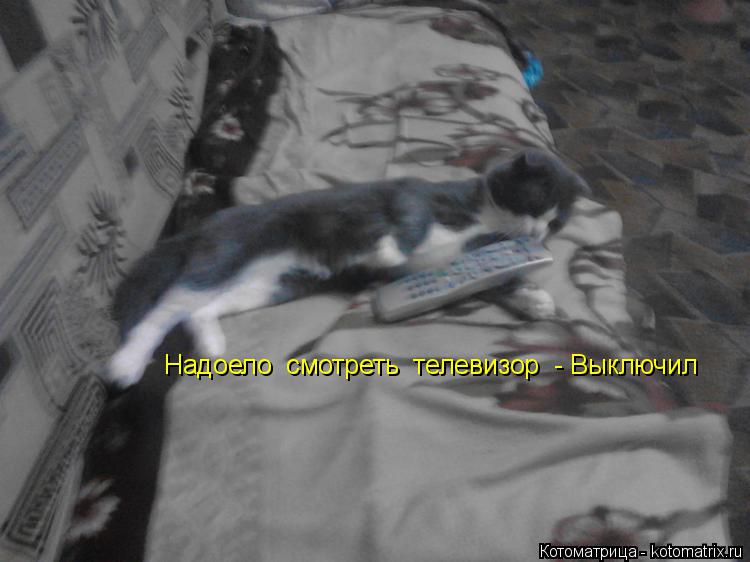 Надоело смотреть телевизор - Выключил... Котоматрица: Надоело смотреть телевизор - Выключил