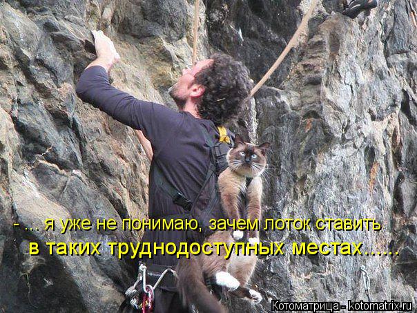 - ... я уже не понимаю, зачем лоток ставить в таких труднодоступных местах......... Котоматрица: - ... я уже не понимаю, зачем лоток ставить в таких труднодоступных местах......