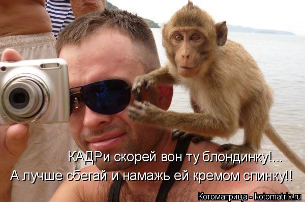 КАДРи скорей вон ту блондинку!... А лучше сбегай и намажь ей кремом спинку!!... Котоматрица: КАДРи скорей вон ту блондинку!... А лучше сбегай и намажь ей кремом спинку!!