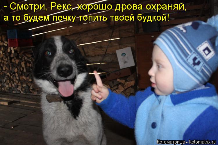 - Смотри, Рекс, хорошо дрова охраняй, а то будем печку топить твоей будкой!... Котоматрица: - Смотри, Рекс, хорошо дрова охраняй, а то будем печку топить твоей будкой!