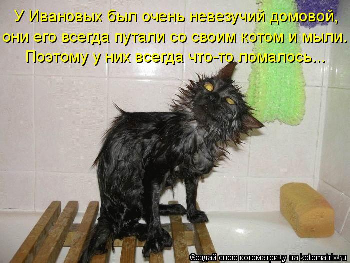 У Ивановых был очень невезучий домовой, они его всегда путали со своим котом и мыли. Поэтому у них вс... Котоматрица: У Ивановых был очень невезучий домовой, они его всегда путали со своим котом и мыли. Поэтому у них всегда что-то ломалось...