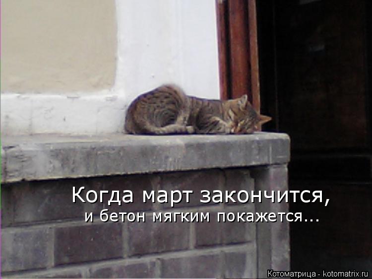 Когда март закончится, и бетон мягким покажется...... Котоматрица: Когда март закончится, и бетон мягким покажется...