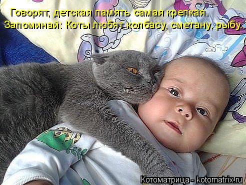 Запоминай: Коты любят колбасу, сметану, рыбу... Говорят, детская память самая крепкая.... Котоматрица: Запоминай: Коты любят колбасу, сметану, рыбу... Говорят, детская память самая крепкая.