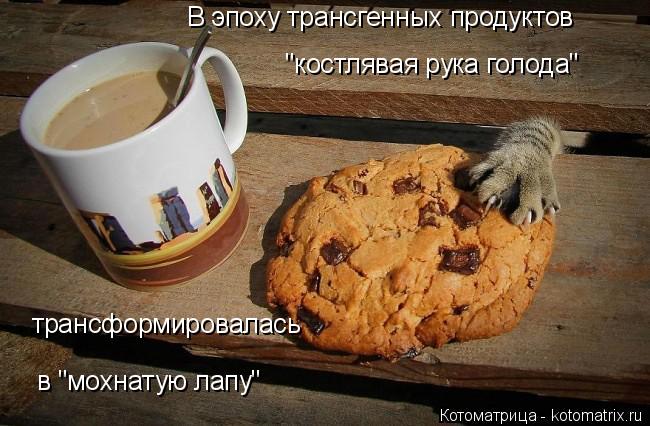 "костлявая рука голода" трансформировалась В эпоху трансгенных продуктов в "мохнатую лапу"... Котоматрица: "костлявая рука голода" трансформировалась В эпоху трансгенных продуктов в "мохнатую лапу"