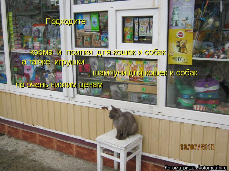 Подходите корма и поилки для кошек и собак , а также игрушки , шампуни для кошек и собак по оч... Котоматрица: Подходите корма и поилки для кошек и собак , а также игрушки , шампуни для кошек и собак по очень низким ценам