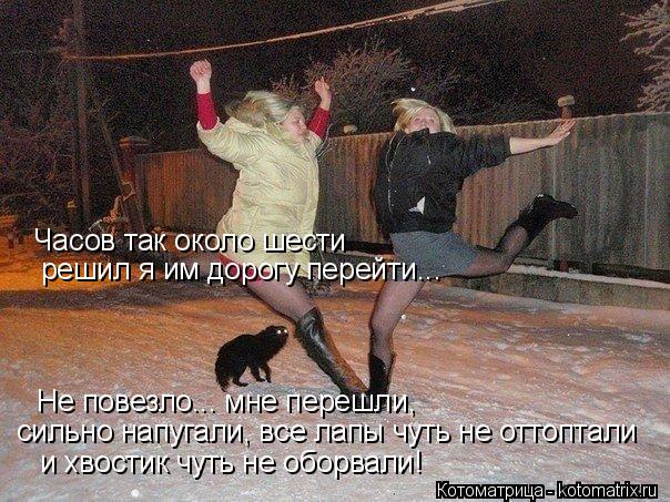 и хвостик чуть не оборвали! Часов так около шести решил я им дорогу перейти... Не повезло... мне пере... Котоматрица: и хвостик чуть не оборвали! Часов так около шести решил я им дорогу перейти... Не повезло... мне перешли, сильно напугали, все лапы чуть не отт