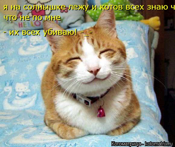 я на солнышке лежу и котов всех знаю что не по мне я их всех убиваю! что не по мне - их всех убиваю! ... Котоматрица: я на солнышке лежу и котов всех знаю что не по мне я их всех убиваю! что не по мне - их всех убиваю! -_-