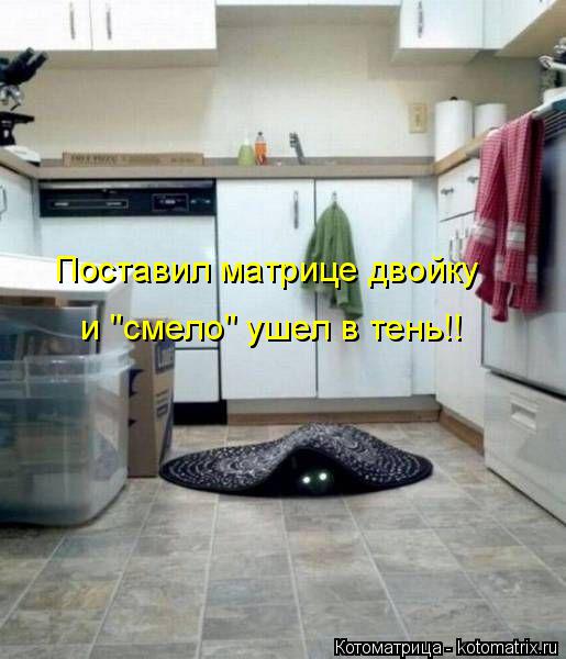 Поставил матрице двойку и "смело" ушел в тень!!... Котоматрица: Поставил матрице двойку и "смело" ушел в тень!!