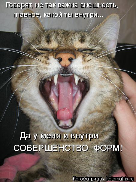 Говорят, не так важна внешность, главное, какой ты внутри... СОВЕРШЕНСТВО ФОРМ! Да у меня и внутри... Котоматрица: Говорят, не так важна внешность, главное, какой ты внутри... СОВЕРШЕНСТВО ФОРМ! Да у меня и внутри