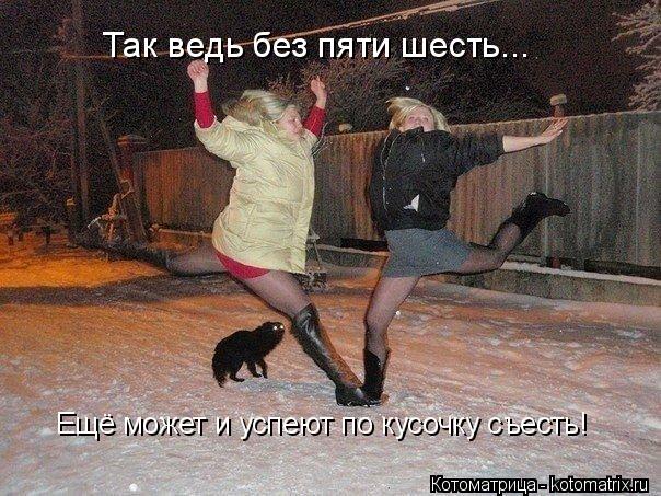 Так ведь без пяти шесть... Ещё может и успеют по кусочку съесть!... Котоматрица: Так ведь без пяти шесть... Ещё может и успеют по кусочку съесть!