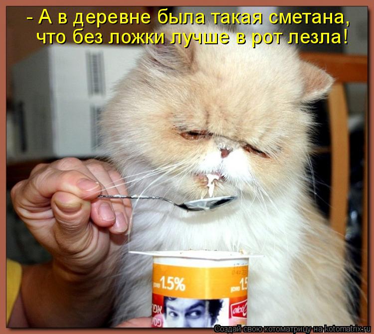 - А в деревне была такая сметана, что без ложки лучше в рот лезла!... Котоматрица: - А в деревне была такая сметана, что без ложки лучше в рот лезла!
