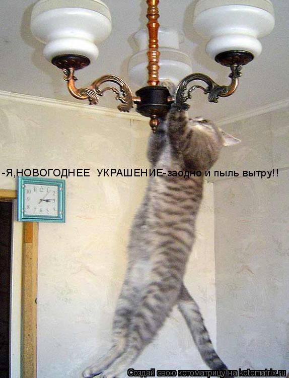 -Я,НОВОГОДНЕЕ УКРАШЕНИЕ-заодно и пыль вытру!!... Котоматрица: -Я,НОВОГОДНЕЕ УКРАШЕНИЕ-заодно и пыль вытру!!