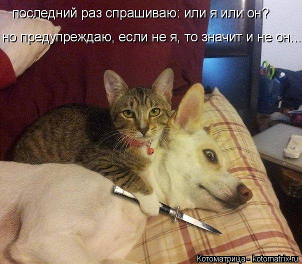 последний раз спрашиваю: или я или он? но предупреждаю, если не я, то значит и не он...... Котоматрица: последний раз спрашиваю: или я или он? но предупреждаю, если не я, то значит и не он...