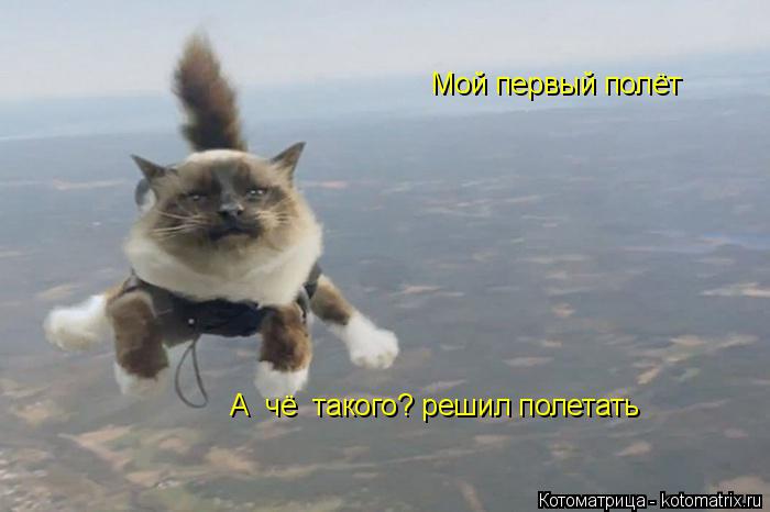 Мой первый полёт А чё такого? решил полетать... Котоматрица: Мой первый полёт А чё такого? решил полетать