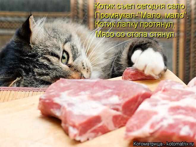 Котик съел сегодня сало, Промяукал-"Мало, мало". Котик лапку протянул, Мясо со стола стянул.... Котоматрица: Котик съел сегодня сало, Промяукал-"Мало, мало". Котик лапку протянул, Мясо со стола стянул.