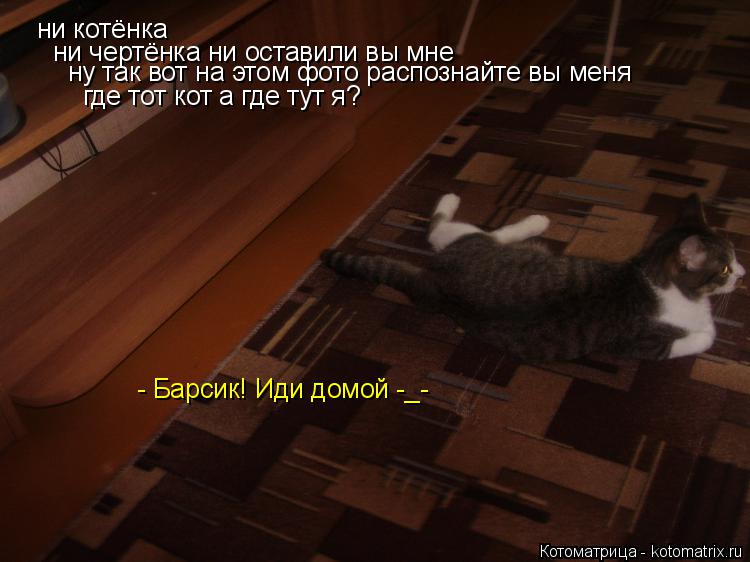ни котёнка ни чертёнка ни оставили вы мне ну так вот на этом фото распознайте вы меня где тот кот а г... Котоматрица: ни котёнка ни чертёнка ни оставили вы мне ну так вот на этом фото распознайте вы меня где тот кот а где тут я? - Барсик! Иди домой -_-