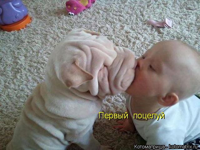 Первый поцелуй... Котоматрица: Первый поцелуй