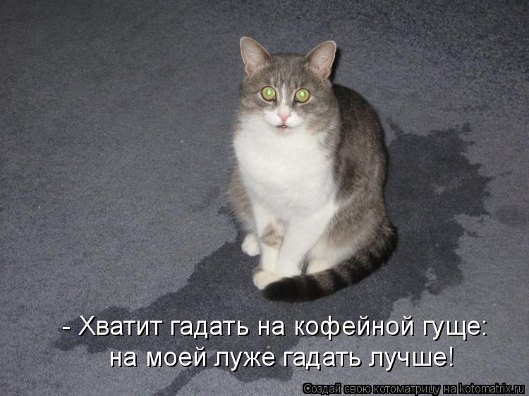 - Хватит гадать на кофейной гуще: на моей луже гадать лучше!... Котоматрица: - Хватит гадать на кофейной гуще: на моей луже гадать лучше!