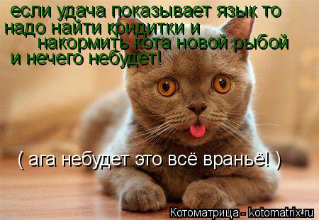 если удача показывает язык то надо найти кридитки и накормить кота новой рыбой и нечего небудет! ( а... Котоматрица: если удача показывает язык то надо найти кридитки и накормить кота новой рыбой и нечего небудет! ( ага небудет это всё враньё! )