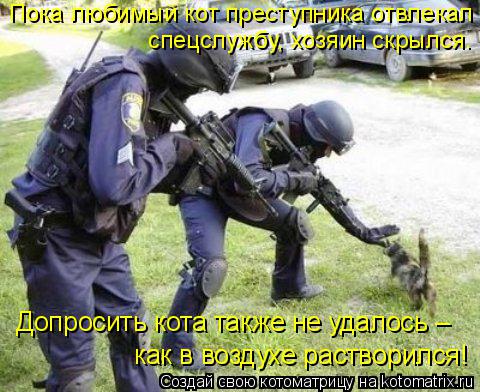 Пока любимый кот преступника отвлекал спецслужбу, хозяин скрылся. Допросить кота также не удалось – ... Котоматрица: Пока любимый кот преступника отвлекал спецслужбу, хозяин скрылся. Допросить кота также не удалось – как в воздухе растворился!