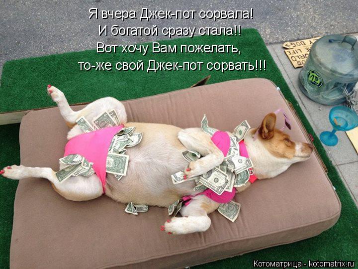 Я вчера Джек-пот сорвала! И богатой сразу стала!! Вот хочу Вам пожелать, то-же свой Джек-пот сорвать!... Котоматрица: Я вчера Джек-пот сорвала! И богатой сразу стала!! Вот хочу Вам пожелать, то-же свой Джек-пот сорвать!!!
