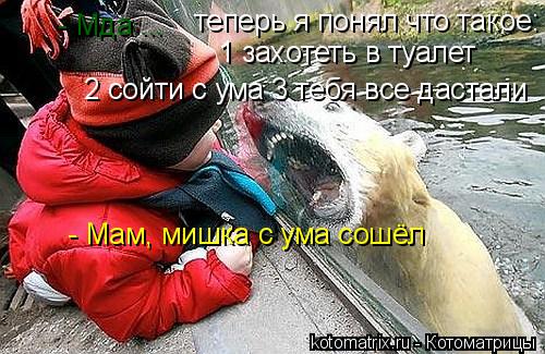 теперь я понял что такое: 1 захотеть в туалет - Мам, мишка с ума сошёл 2 сойти с ума 3 тебя все даста... Котоматрица: теперь я понял что такое: 1 захотеть в туалет - Мам, мишка с ума сошёл 2 сойти с ума 3 тебя все дастали - Мда ...