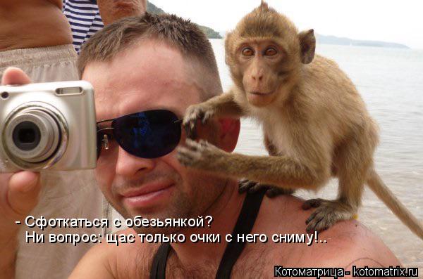 - Сфоткаться с обезьянкой? Ни вопрос: щас только очки с него сниму!..... Котоматрица: - Сфоткаться с обезьянкой? Ни вопрос: щас только очки с него сниму!..