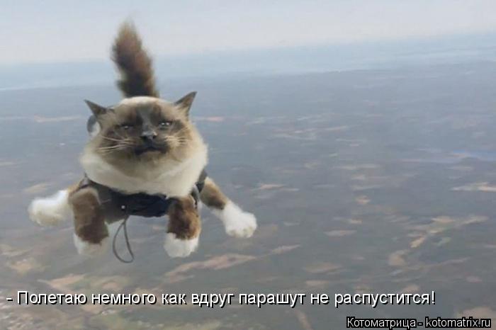 - Полетаю немного как вдруг парашут не распустится!... Котоматрица: - Полетаю немного как вдруг парашут не распустится!
