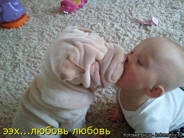 ээх...любовь любовь... Котоматрица: ээх...любовь любовь