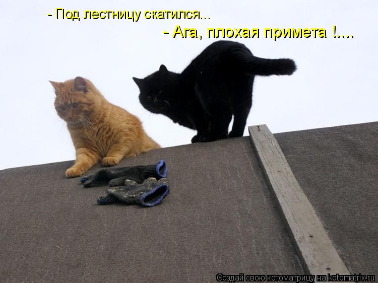 - Под лестницу скатился... - Ага, плохая примета !....... Котоматрица: - Под лестницу скатился... - Ага, плохая примета !....