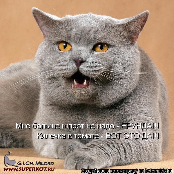 Мне больше шпрот не надо - ЕРУНДА!!! Килечка в томате - ВОТ ЭТО ДА!!!... Котоматрица: Мне больше шпрот не надо - ЕРУНДА!!! Килечка в томате - ВОТ ЭТО ДА!!!