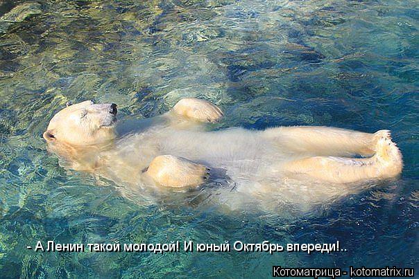 - А Ленин такой молодой! И юный Октябрь впереди!..... Котоматрица: - А Ленин такой молодой! И юный Октябрь впереди!..