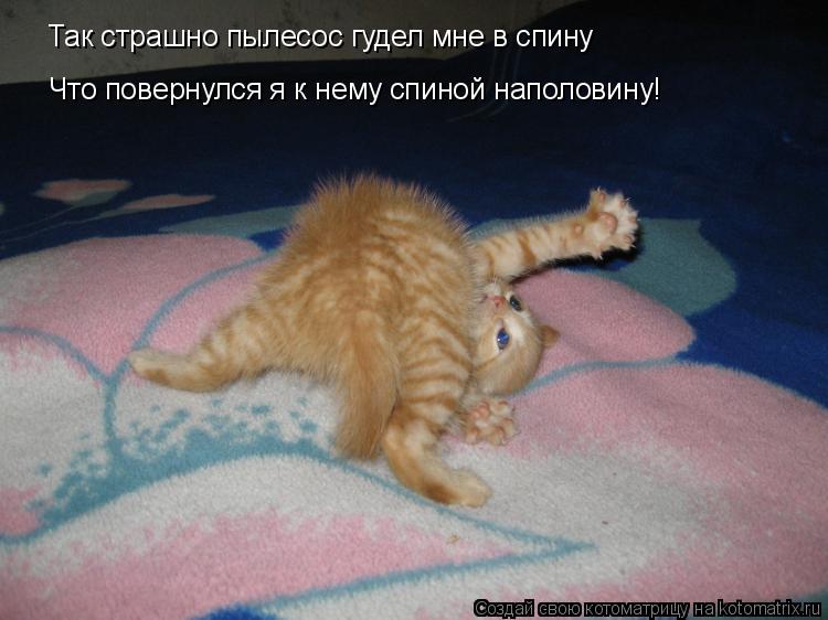 Так страшно пылесос гудел мне в спину Что повернулся я к нему спиной наполовину!... Котоматрица: Так страшно пылесос гудел мне в спину Что повернулся я к нему спиной наполовину!
