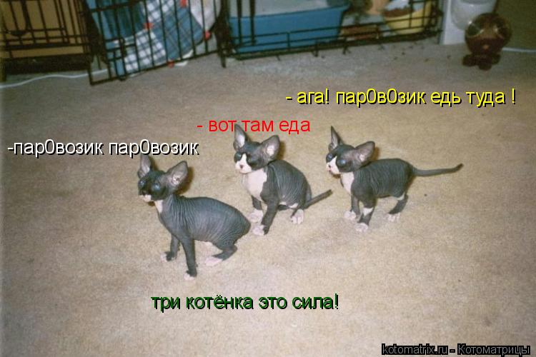 -пар0возик пар0возик - вот там еда - ага! пар0в0зик едь туда ! три котёнка это сила!... Котоматрица: -пар0возик пар0возик - вот там еда - ага! пар0в0зик едь туда ! три котёнка это сила!