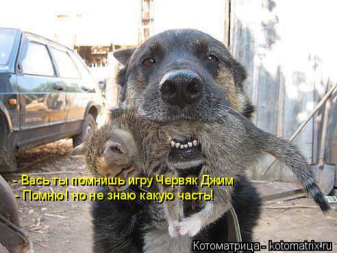 - Вась ты помнишь игру Червяк Джим - Помню! но не знаю какую часть!... Котоматрица: - Вась ты помнишь игру Червяк Джим - Помню! но не знаю какую часть!