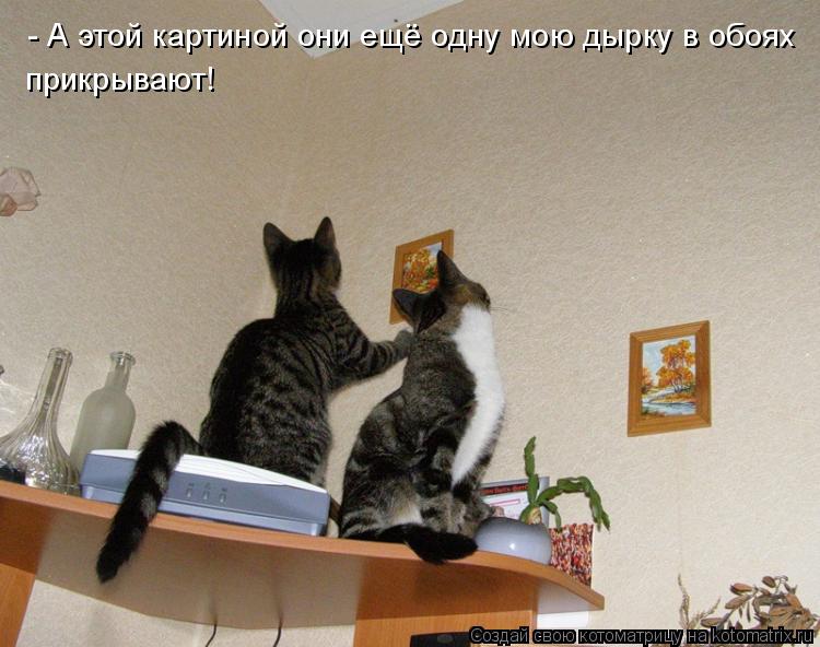- А этой картиной они ещё одну мою дырку в обоях прикрывают!... Котоматрица: - А этой картиной они ещё одну мою дырку в обоях прикрывают!