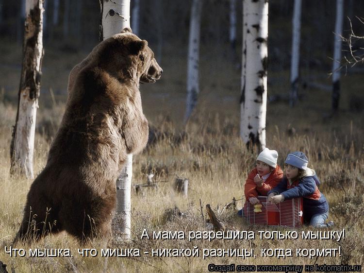 А мама разрешила только мышку! Что мышка, что мишка - никакой разницы, когда кормят!... Котоматрица: А мама разрешила только мышку! Что мышка, что мишка - никакой разницы, когда кормят!